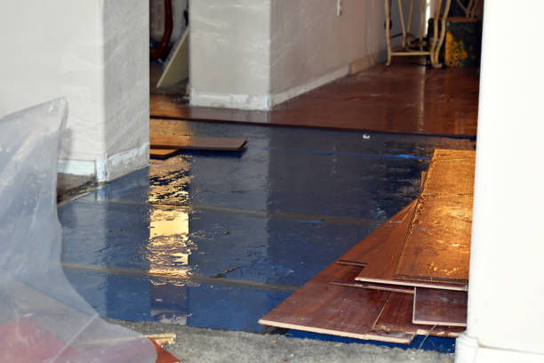 Professional Basement Water Removal technician working in Ray, MI