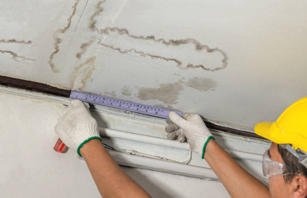 Reliable Basement Water Removal contractor in Ray, MI by Water Damage Irwin